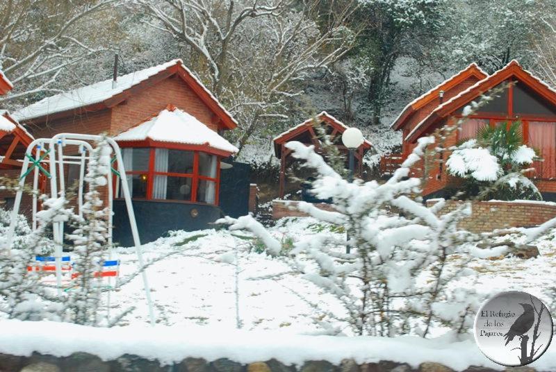 Cabanas El Refugio De Los Pajaros Merlo Exteriör bild