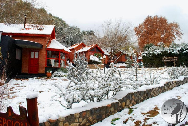 Cabanas El Refugio De Los Pajaros Merlo Exteriör bild
